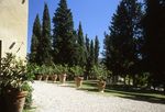 foresteria,ferienhaus,chianto classico,castellina,ferien,flug,hotel,individualreise,italien,kalabrien,pauschalreise,reise,reisen,stromboli,s�ditalien,sueditalien,tropea,unterkunft,urlaub