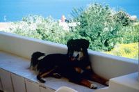 Buchen Sie bei uns Ihre individuelle Kalabrien-, Salina-, Apulien- oder Toskana-Reise! Rundum-Sorglos-Urlaub im Hotel, Ferienhaus, Ferienwohnung oder Agriturismo - inklusive Flug, Mietwagen und Fähre.