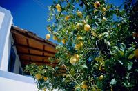 Ferienhaus Villa Vittoria. Buchen Sie bei uns Ihre individuelle Kalabrien-, Salina-, Apulien- oder Toskana-Reise! Rundum-Sorglos-Urlaub im Hotel, Ferienhaus, Ferienwohnung oder Agriturismo - inklusive Flug, Mietwagen und F�hre.