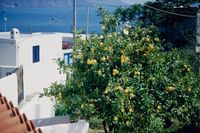 Ferienhaus Villa Vittoria. Buchen Sie bei uns Ihre individuelle Kalabrien-, Salina-, Apulien- oder Toskana-Reise! Rundum-Sorglos-Urlaub im Hotel, Ferienhaus, Ferienwohnung oder Agriturismo - inklusive Flug, Mietwagen und F�hre.