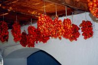 Buchen Sie bei uns Ihre individuelle Kalabrien-, Salina-, Apulien- oder Toskana-Reise! Rundum-Sorglos-Urlaub im Hotel, Ferienhaus, Ferienwohnung oder Agriturismo - inklusive Flug, Mietwagen und Fähre.