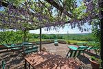 villa costanza,ferienhaus,siena,ville di corsano,ferien,flug,hotel,individualreise,italien,kalabrien,pauschalreise,reise,reisen,stromboli,s�ditalien,sueditalien,tropea,unterkunft,urlaub