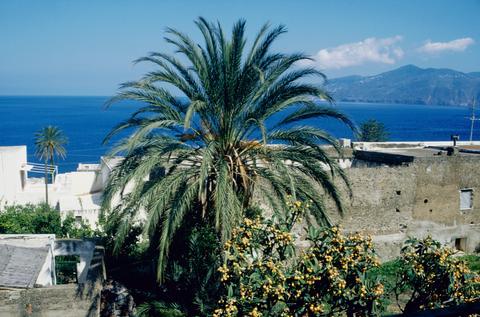Buchen Sie bei uns Ihre individuelle Kalabrien-, Salina-, Apulien- oder Toskana-Reise! Rundum-Sorglos-Urlaub im Hotel, Ferienhaus, Ferienwohnung oder Agriturismo - inklusive Flug, Mietwagen und Fähre.