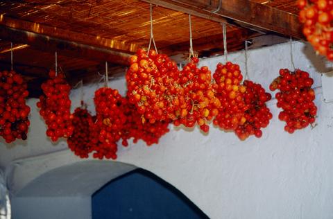 Buchen Sie bei uns Ihre individuelle Kalabrien-, Salina-, Apulien- oder Toskana-Reise! Rundum-Sorglos-Urlaub im Hotel, Ferienhaus, Ferienwohnung oder Agriturismo - inklusive Flug, Mietwagen und Fähre.